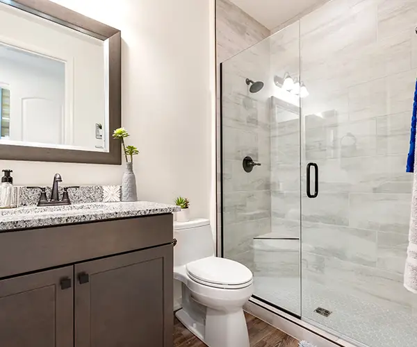 bath to shower conversion services belleville illinois